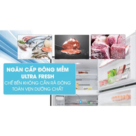 Linh Kiện Tủ Lạnh Nắp Che Ngăn Đông Mềm Tủ Lạnh TOSHIBA Model GR-AG58 GR-AG66 Chuẩn Theo Tủ